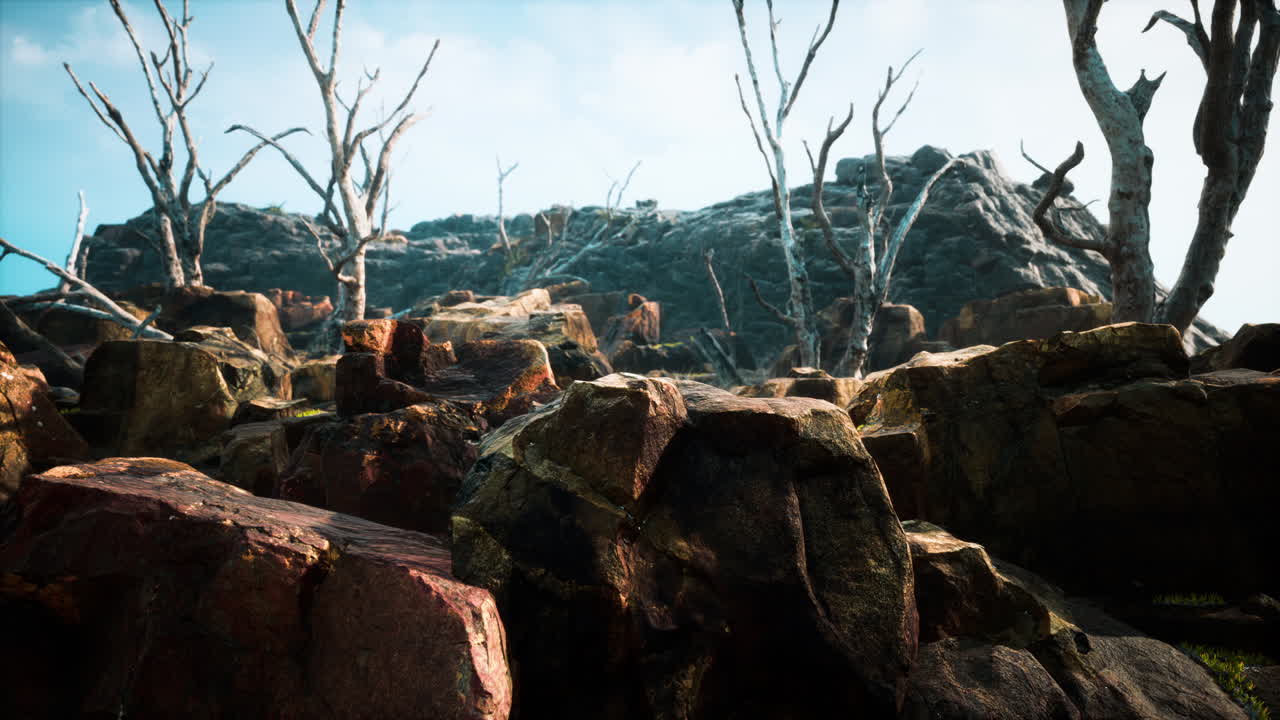 죽은 나무 와 식물 들 이 있는 용암 돌  ⁇