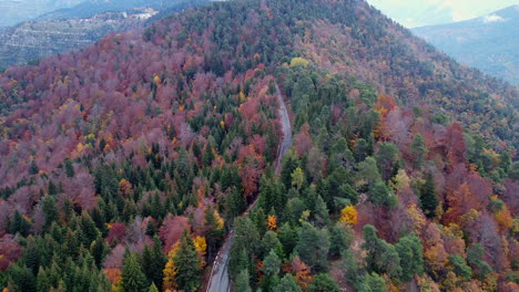 Vista-Aérea-De-Montañas-Y-árboles-Coloridos