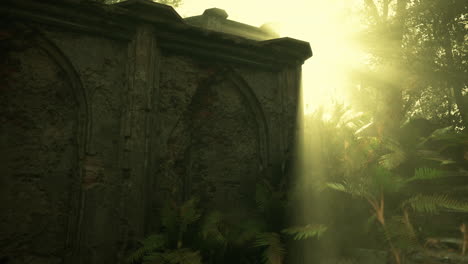 ruins of an old stone wall in a jungle