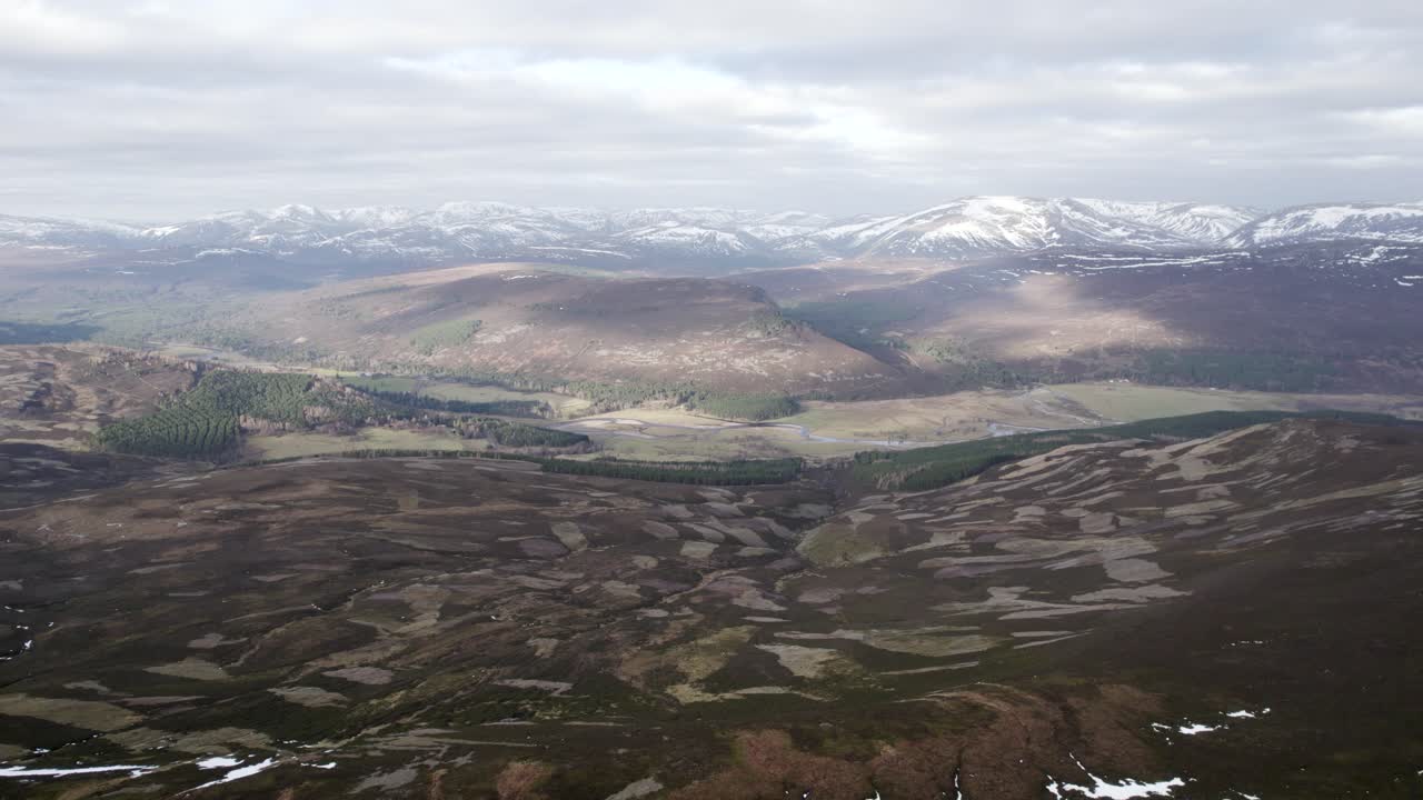 겨울 산 풍경을 내다보는 야생 헤더와 뇌조 황무지의 누덕누덕한 풍경 위로 천천히 반전되는 영화 같은 공중 드론 영상