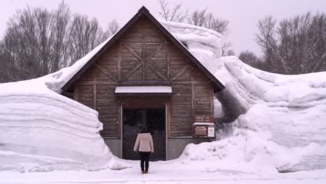 stunning slow motion scenery with travel girl standing in stunning winter landscape