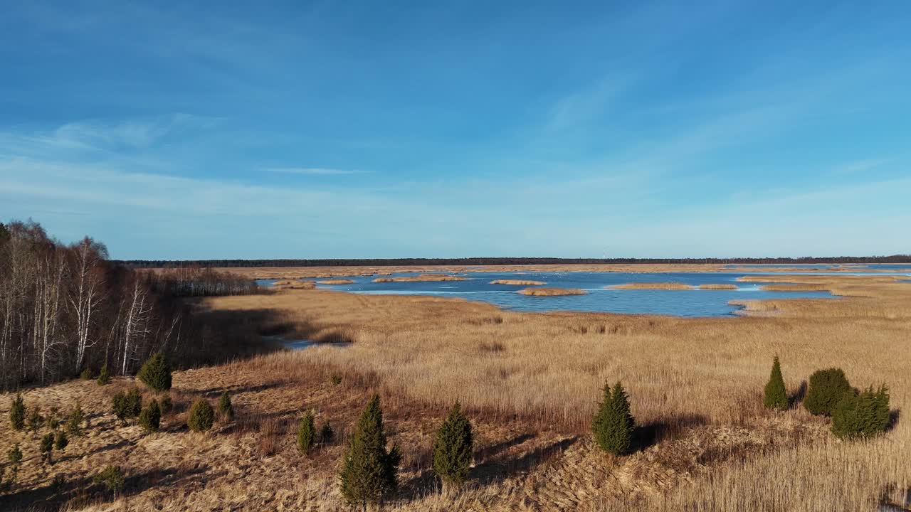 sendero de tablas de madera a través del lago kaniera cañas disparo aéreo de primavera lapmezciems, letonia