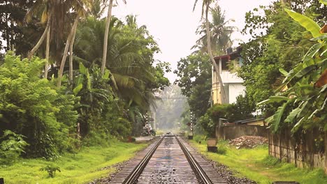 Gente-Cruzando-La-Línea-Del-Tren-En-Medio-De-Un-Bosque-Tropical-En-Sri-Lanka---Día-De-Verano