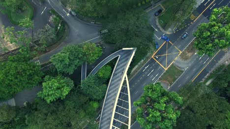 hanging bridge covered with trees in singapore