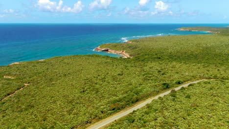 vieques, puerto rico - an expansive vista of a lush green landscape extending to the coastline, showcasing turquoise waters - aerial pullback shot