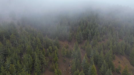 Vista-De-La-Jungla,-El-Dron-Vuela-Sobre-Un-Paisaje-De-Montañas-Densas-Y-Verdes-Cubiertas-De-Bosques,-Vista-Aérea-De-Montañas-De-Bosques-Verdes-Y-Exuberantes,-Vista-De-La-Jungla