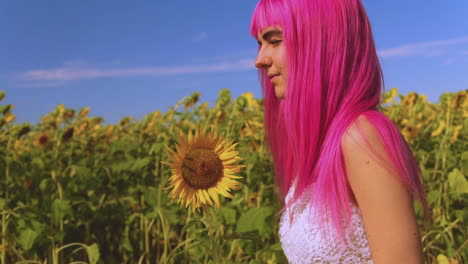 Caminando-Por-Un-Campo-De-Girasoles