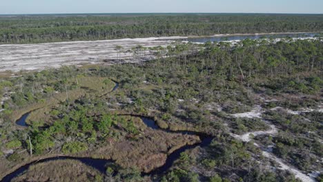 Aerial-view-of-natural-forests-changing-over-to-cleared-land-for-building