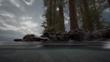 half underwater in northern sea with rocks