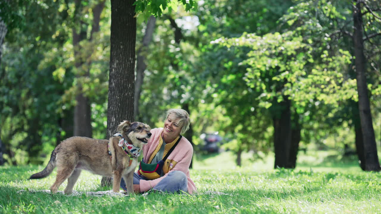 Woman Sitting on Blanket in Sunlit Park and Petting Cute Dog