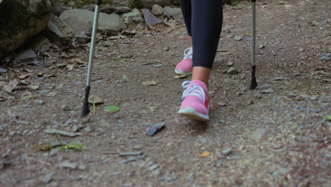 mujer caminando en un bosque