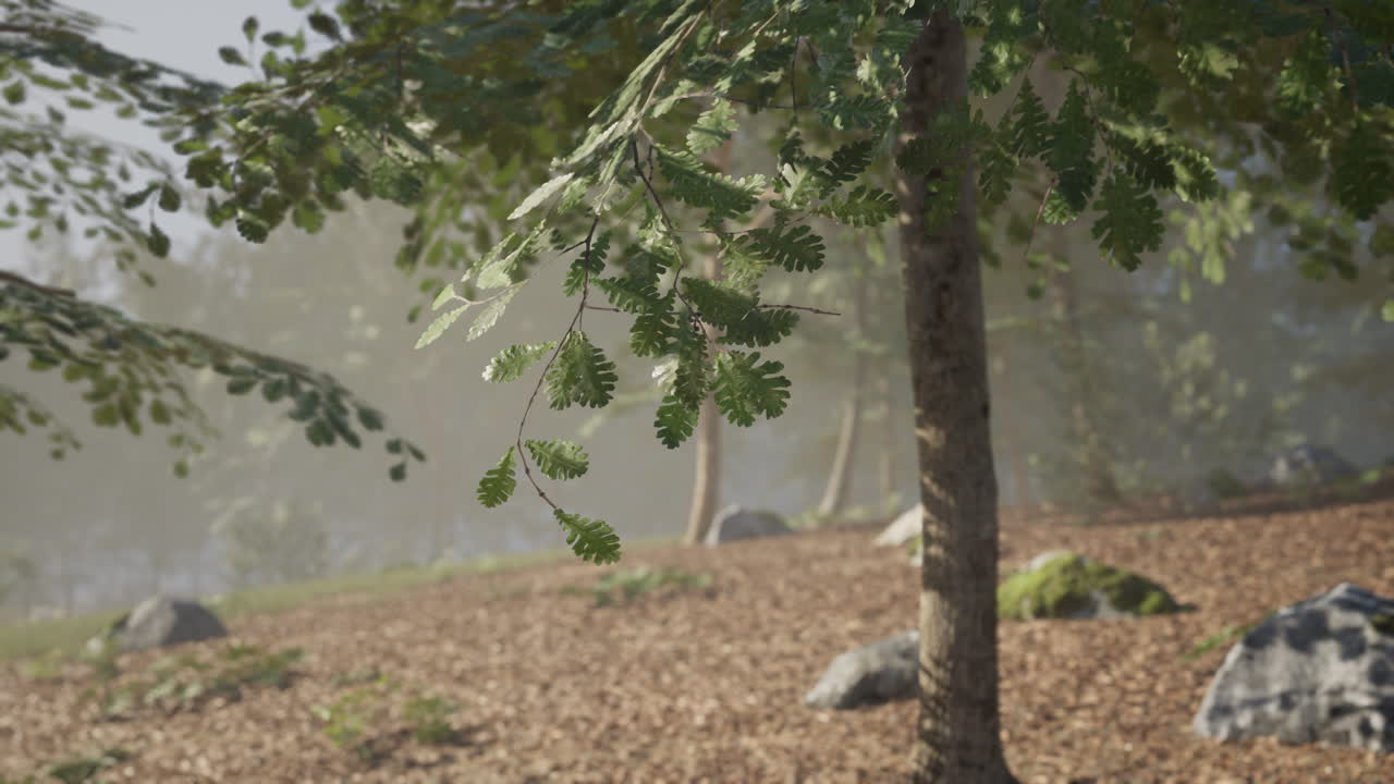 Green leaves sway gently in the breeze near a peaceful wooded area at dawn
