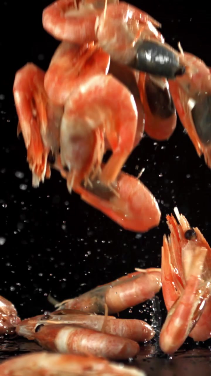 Kogte rejer falder og sprøjter på sort baggrund i slowmotion