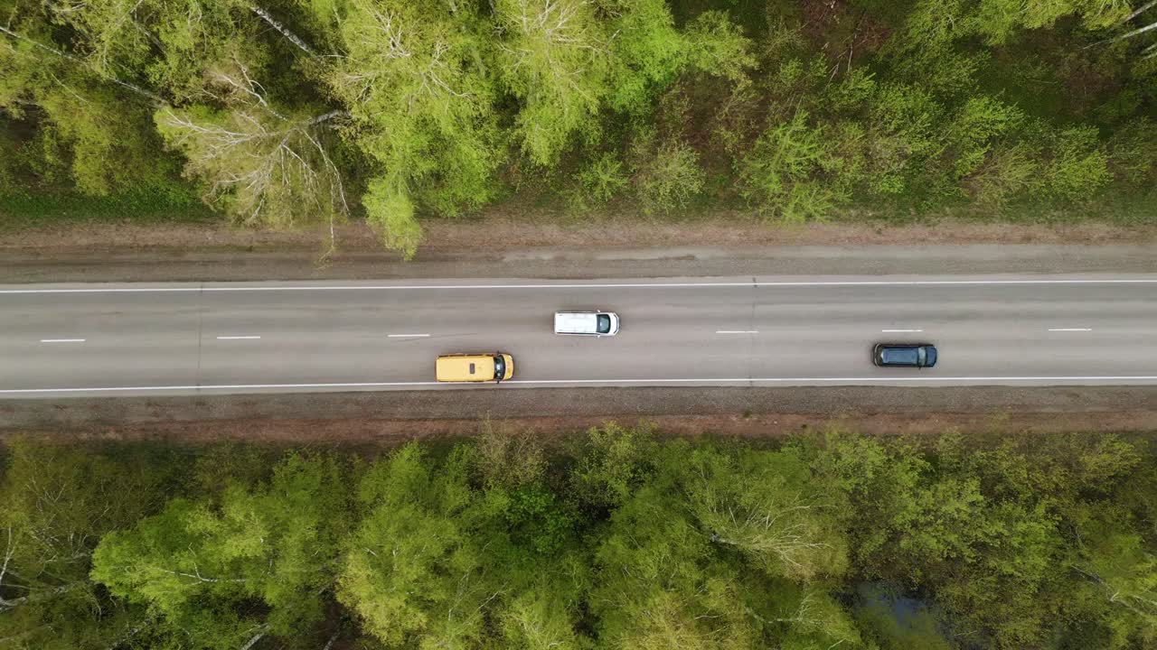 Veduta aerea di una strada che si snoda attraverso la fitta chioma verde della foresta. Due auto viaggiano in direzioni opposte su un'autostrada asfaltata. Veicoli gialli e bianchi avanzano stabilmente, incorniciati dagli alberi.