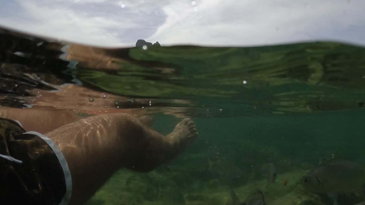 프랑스 코르시카 섬에 있는 라베치 군도에서 물고기가 수중에서 수영하는 것과 함께 바닷물에 떠 있는 동안 편안한 남자 다리와 발의 1인칭 시점