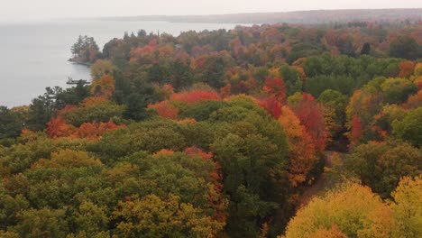 Vibrant-autumn-lakeside-forest,-drone-landing-in-woodland-area