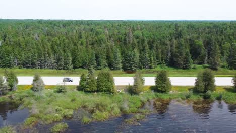 Aerial-Follow-Pinetree-Road-with-Car