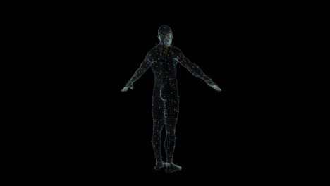 hologramma maschio wireframe. bella animazione 3d su uno sfondo nero con un loop senza cuciture per progetti futuristici