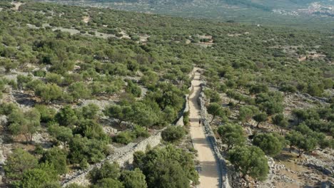 Man-with-his-dog-running-on-trail-with-green-trees-around-on-a-sunny-day-in-Cres,-Croatia