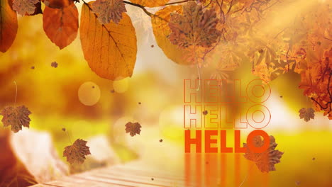 animation of hello text over falling leaves