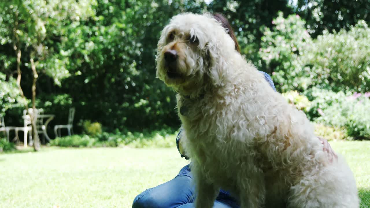 mujer madura acariciando a su perro en el jardín 4k