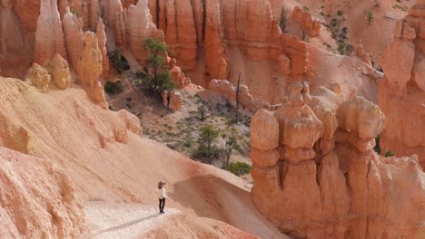 Toma-En-Cámara-Lenta-De-Una-Turista-En-El-Sendero-Mirando-Hoodoos-En-El-Parque-Nacional-Bryce-Canyon-En-Utah,-Estados-Unidos