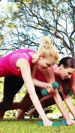 women exercising with dumbbells