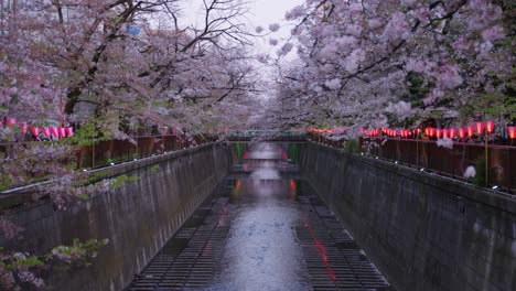 Cherry-Blossoms-in-Tokyo,-Early-Spring-Along-the-Meguro-River