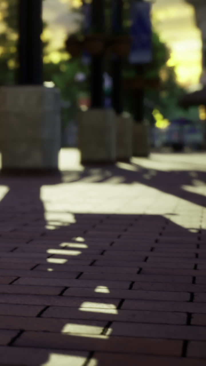 Shadows cast on a brick pathway in a city during late afternoon