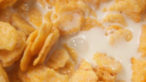 close-up of cereal with milk