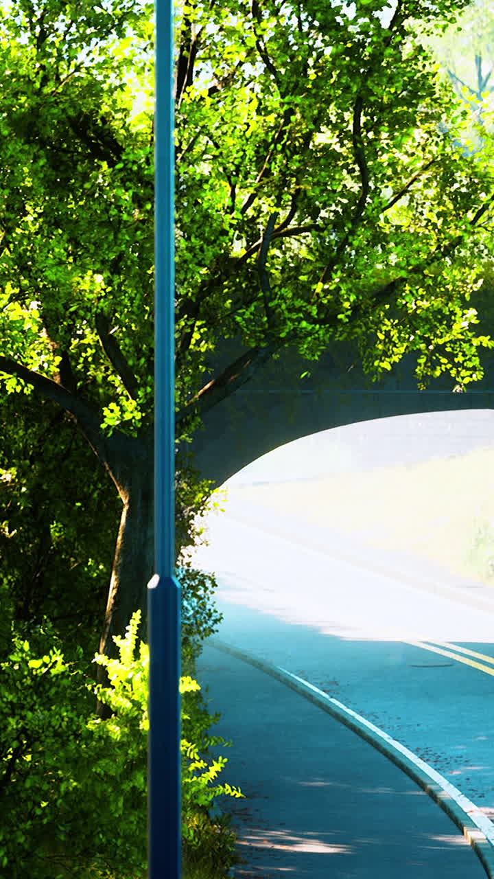 울창 한 초록색 이 있는 다리 아래 의 경치 좋은 도로