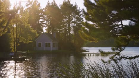 warm sunlight filters through the trees, illuminating a charming cabin nestled beside a serene lake, creating a picturesque scene of tranquility and relaxation
