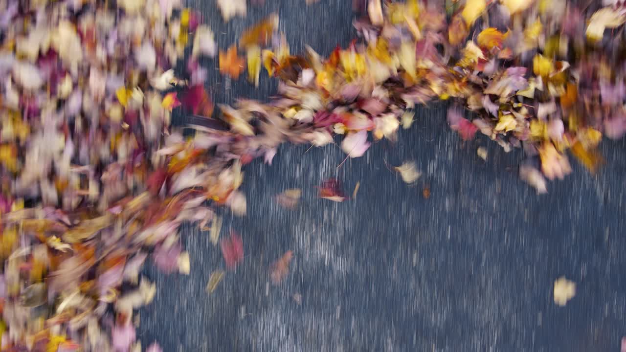 블랙탑 주차장에 떨어진 나뭇잎을 움직이는 부드러운 바람