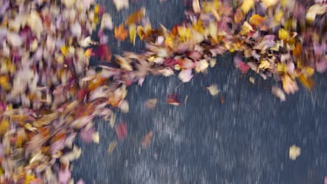 Soft-breeze-moving-fallen-leaves-on-a-blacktop-parking-lot