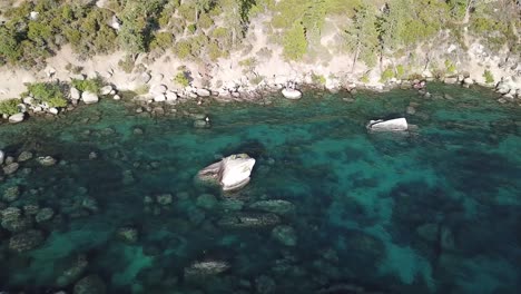 Vista-Aérea-Sobre-El-Lago-Tahoe-Usa-Agua-Aplina-Clara-Y-Costa-Con-Bosques-De-Coníferas-En-Un-Día-Soleado-De-Verano