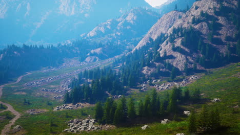 winding road in the mountains with pine forest