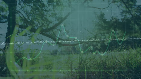 displaying translucent green line chart rising over sunny meadow scene with grid and numeric dots
