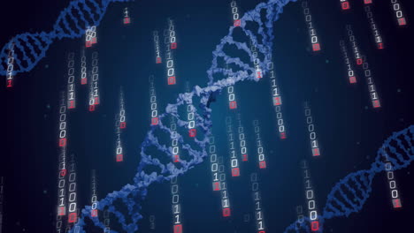 Animation-of-dna-strands-and-binary-coding-data-processing