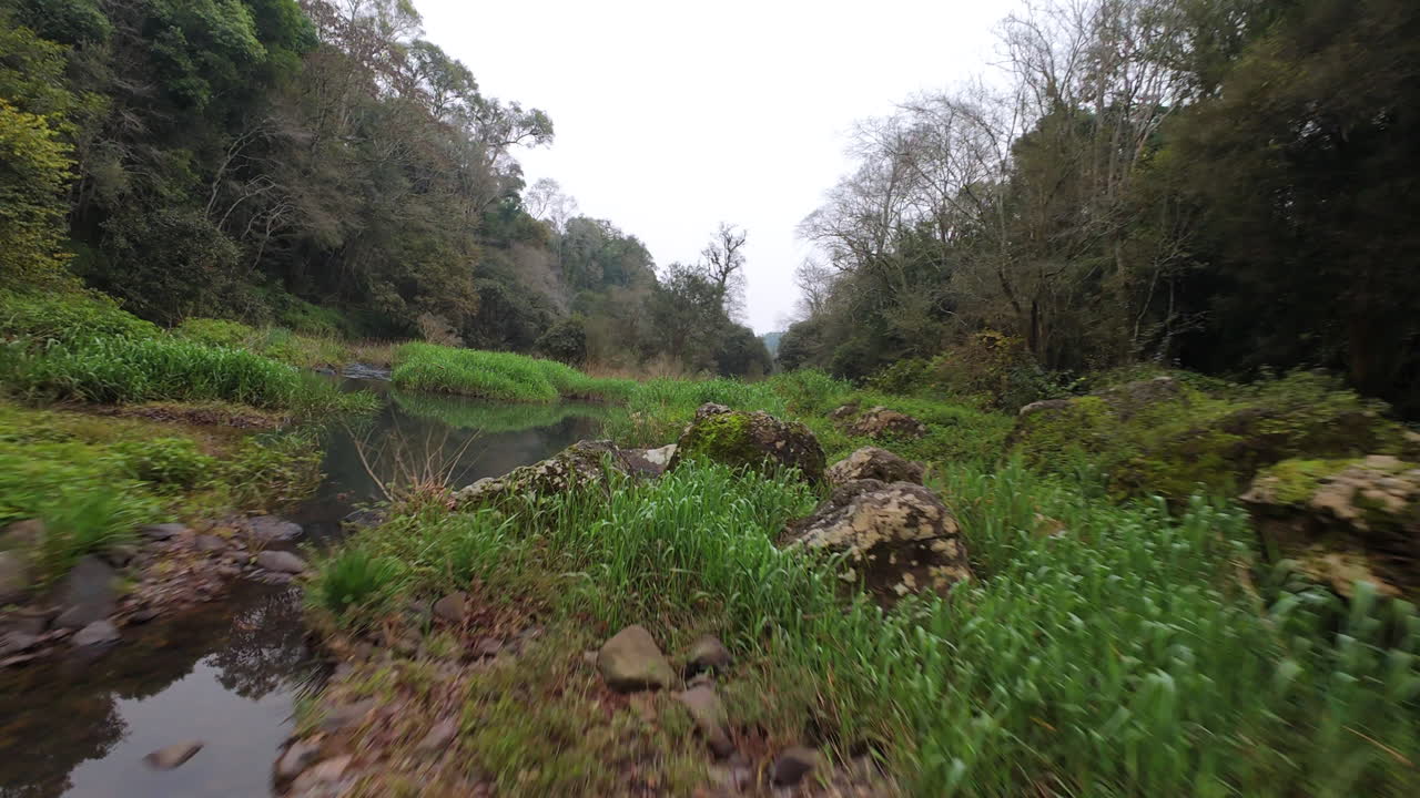 FPV drone shot capturing a peaceful river surrounded by lush green vegetation. The drone flies smoothly over the water, showcasing the serene environment.