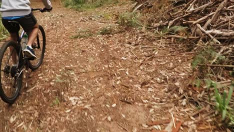 Männlicher-Radfahrer-Radelt-Im-Wald