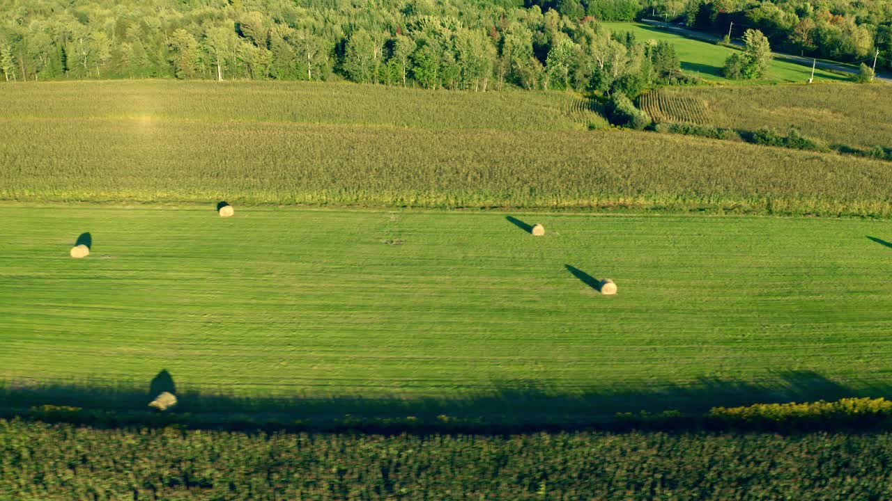 밀 공으로 멀리 날아가는 드론