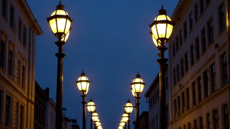 illuminated street lamps at dusk