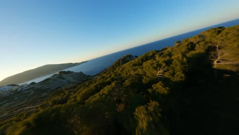 FPV-racing-drone-diving-down-a-forest-hill-top-during-golden-hour-sunset-towards-the-open-ocean-with-amazingly-blue-skies-and-stunning-view