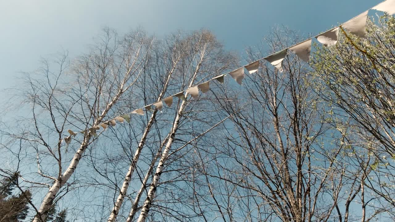 треугольные флаги в весеннем лесу