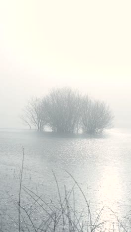 misty winter landscape