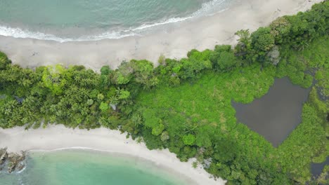 aerial top round shot whale tail shaped beach in manuel antonio national park, costa rica