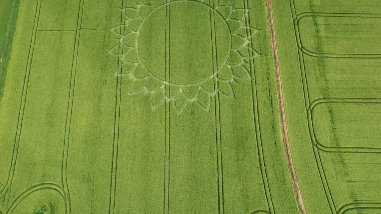 vista aérea de aviones no tripulados de campos rurales con círculo de flores de cultivos cerca de la aldea de potterne en el condado de wiltshire, inglaterra