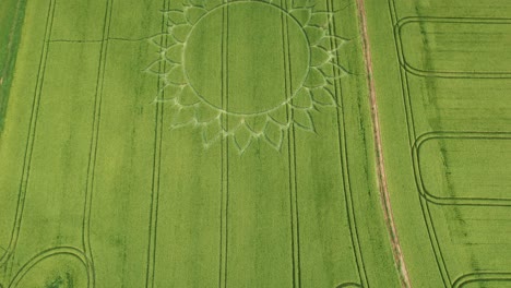 Aerial-Drone-View-Of-Rural-Fields-With-Crop-Flower-Circle-Near-Potterne-Village-In-The-County-of-Wiltshire,-England