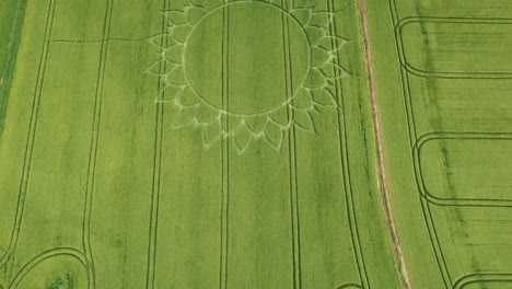 vista aérea de aviones no tripulados de campos rurales con círculo de flores de cultivos cerca de la aldea de potterne en el condado de wiltshire, inglaterra