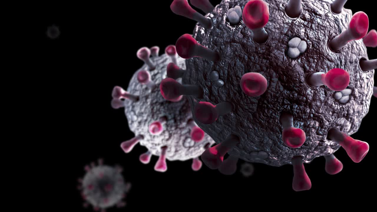 virus aislados en fondo negro animación de bucle sin costuras